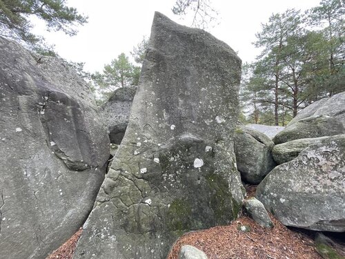 Image of Blue Suede Shoes (5-)